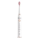 Электрическая зубная щетка Sakura SA-5561W, звуковая, 38000 дв/мин, 2 насадки, розовая - фото 318832256