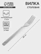 Вилка столовая «Аппетит», длина 20 см, толщина 2 мм, нержавеющая сталь, серебристая - Фото 1