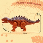 Динозавр «Анкилозавр» работает от батареек, свет и звук, цвет коричневый - Фото 2