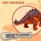 Динозавр «Анкилозавр» работает от батареек, свет и звук, цвет коричневый - Фото 4