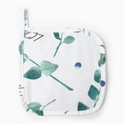 Прихватка «Этель» Eucalyptus 19×19 см,100% хлопок, саржа 190 г/м² - Фото 1