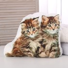 Мягкая игрушка-подушка «Котята» - Фото 1