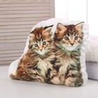 Мягкая игрушка-подушка «Котята» - Фото 2