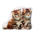 Мягкая игрушка-подушка «Котята» - Фото 3