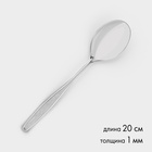 Ложка столовая «Силуэт», длина 20 см, толщина 1 мм, упрощённой обработки, нержавеющая сталь, серебристая - Фото 1