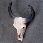 Настенный декор TAKE IT EASY «Череп», панно декоративное, 26×10×20 см - Фото 1