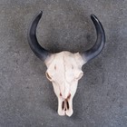 Настенный декор TAKE IT EASY «Череп», панно декоративное, 26×10×20 см - Фото 2