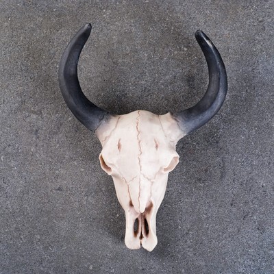 Настенный декор TAKE IT EASY «Череп», панно декоративное, 26×10×20 см