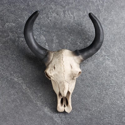 Настенный декор TAKE IT EASY «Череп», панно декоративное, 26×10×20 см