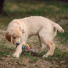 Мяч «Молекула», 8 см, микс цветов - фото 60801120