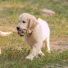 Мяч «Молекула», 8 см, микс цветов - фото 60801121