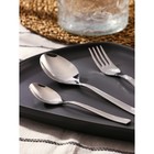 Набор столовый «Торжество», 18 предметов, толщина 2 мм, картонная коробка, цвет серебряный - Фото 4