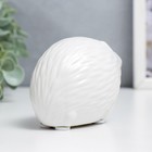 Сувенир керамика "Белый маленький ёжик" матовый 6х5,2х8,8 см - фото 45258426