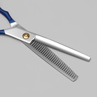 Ножницы филировочные с упором «Premium», лезвие — 6,5 см, цвет серебристый/синий - Фото 4