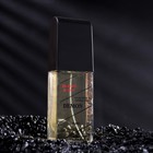 Туалетная вода мужская Demon Homme Sport, 100 мл - фото 32185285