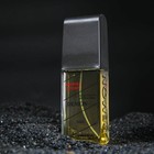 Туалетная вода мужская Demon Homme Sport, 100 мл - фото 32185287