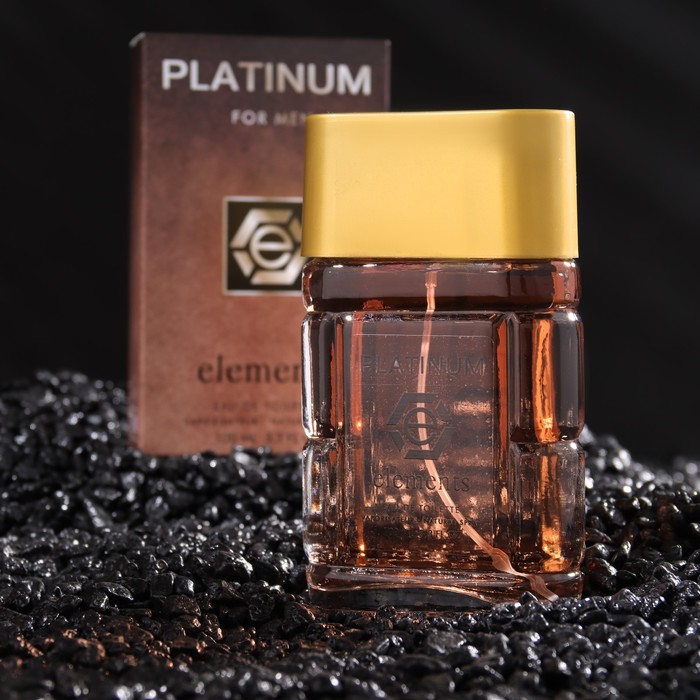 Туалетная вода мужская Platinum Elements, 100 мл (по мотивам Sauvage (C.Dior)