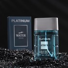 Туалетная вода мужская Platinum Water, 100 мл (по мотивам Blue Label (Givenchy) - Фото 3