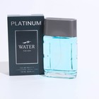 Туалетная вода мужская Platinum Water, 100 мл (по мотивам Blue Label (Givenchy) - фото 320680374