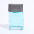 Туалетная вода мужская Platinum Water, 100 мл (по мотивам Blue Label (Givenchy) - Фото 2