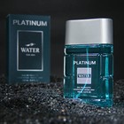 Туалетная вода мужская Platinum Water, 100 мл (по мотивам Blue Label (Givenchy) - Фото 5