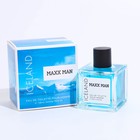 Туалетная вода мужская Maxx Man Iceland, 100 мл (по мотивам Mexx Ice Touch Man) - Фото 3