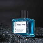 Туалетная вода мужская Maxx Man Iceland, 100 мл (по мотивам Mexx Ice Touch Man) - Фото 2