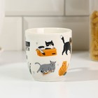 Кружка «Котики», 250 мл - фото 24596366