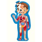 Пазл-игрушка «Как устроено тело человека», 60 элементов - фото 300488850