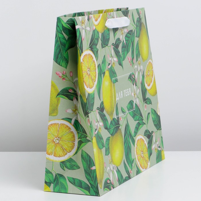 Пакет подарочный крафтовый горизонтальный, упаковка, «Лимончики», M 30 х 26 х 9 см - фото 1885352314