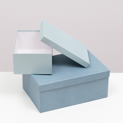 Набор подарочных коробок 10 в 1 «Барракуда», 30.5×20×13 - 12×6.5×4 см