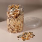 Поталь для декора ногтей, 3 г, в пластиковой банке, золотистая - Фото 2