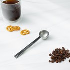 Ложка-дозатор для кофе Magistro, 30 мл, 304 сталь - фото 4349302