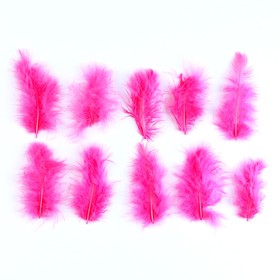 Набор перьев для декора 10 шт., размер 1 шт. — 10 × 2 см, цвет светло-розовый