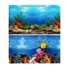 Фон для аквариума двухсторонний, 30×50 см - Фото 4