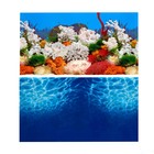 Фон для аквариума двухсторонний, 30 х 50 см - фото 8625712