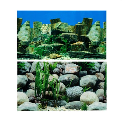 Фон для аквариума двухсторонний, 30 х 50 см (7418312) - Купить по цене от  145.00 руб. | Интернет магазин SIMA-LAND.RU