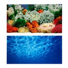 Фон для аквариума двухсторонний, 40×75 см - Фото 4