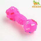 Игрушка пищащая "Гантель с лапками" для собак, 13 см, розовая - фото 2109642
