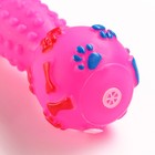 Игрушка пищащая "Гантель с лапками" для собак, 13 см, розовая - фото 6576051