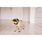 Игрушка пищащая "Гантель с лапками" для собак, 13 см, розовая - Фото 4