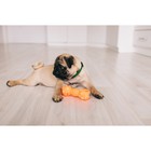 Игрушка пищащая "Гантель с лапками" для собак, 13 см, розовая - Фото 5