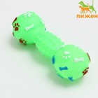 Игрушка пищащая "Гантель с лапками" для собак, 13 см, зелёная - фото 319726403