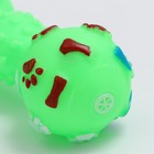 Игрушка пищащая "Гантель с лапками" для собак, 13 см, зелёная - фото 7107481
