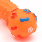 Игрушка пищащая "Гантель с лапками" для собак, 13 см, оранжевая - фото 6576056