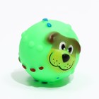 Игрушка пищащая "Мяч Джим"для собак, 6 см, зелёная - Фото 2