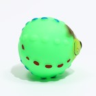 Игрушка пищащая "Мяч Джим"для собак, 6 см, зелёная - Фото 3