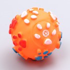 Игрушка пищащая "Мяч Лапка"для собак, 6,5 см, оранжевая - Фото 2
