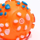 Игрушка пищащая "Мяч Лапка"для собак, 6,5 см, оранжевая - Фото 3