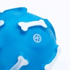 Игрушка пищащая "Шар с косточками"для собак, 8 см, синяя - фото 10209548